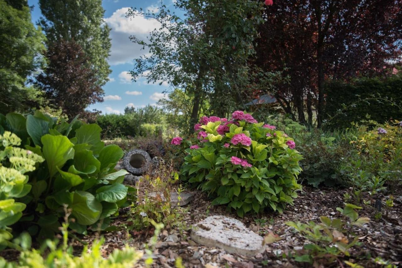Bed and Breakfast La Demalerie Cheverny Exterior foto